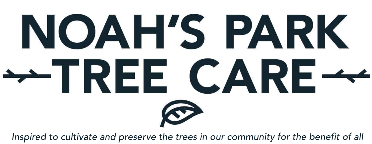 Noah's Park Tree Care logo
